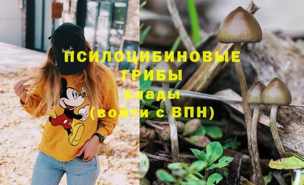 стаф Дмитриев