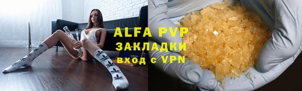 стаф Дмитриев