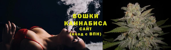 стаф Дмитриев