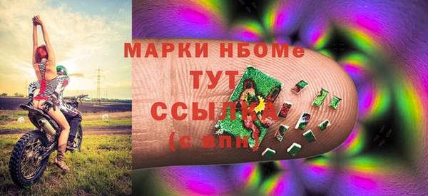 стаф Дмитриев