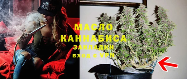 стаф Дмитриев