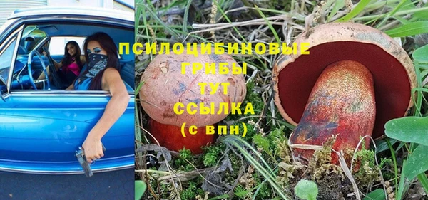 стаф Дмитриев