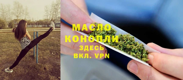 стаф Дмитриев