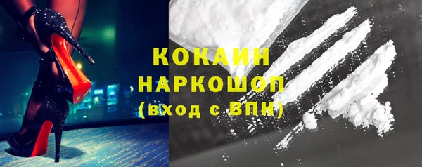 стаф Дмитриев